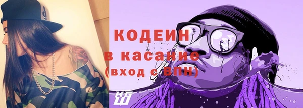 прущие грибы Бородино