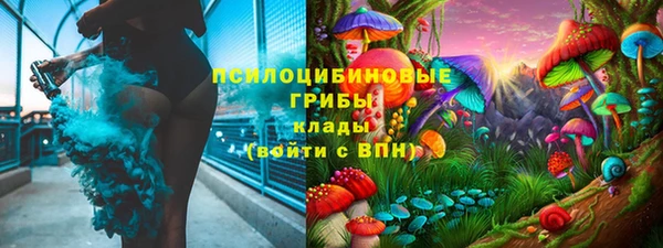 МДМА Богородицк