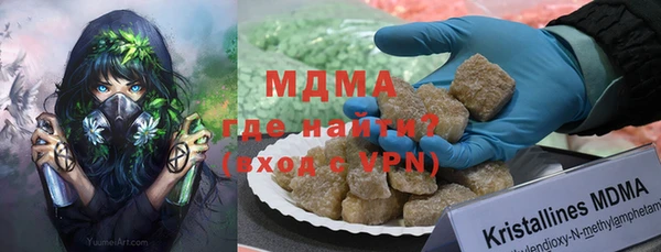 прущие грибы Бородино