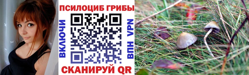 Галлюциногенные грибы GOLDEN TEACHER  Усть-Катав 